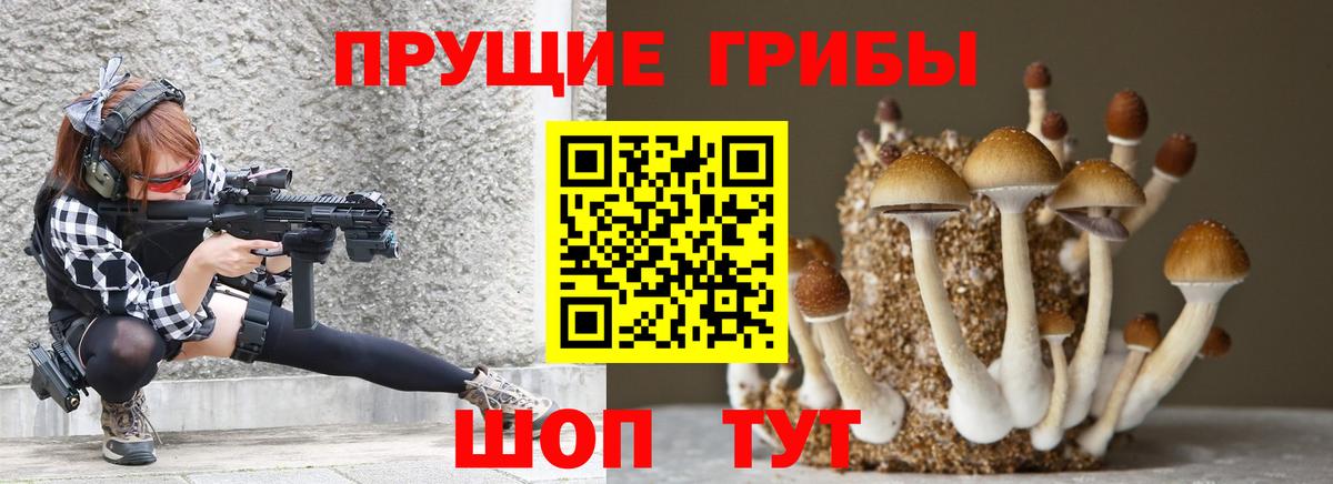 Сафоново  Псилоцибиновые грибы MAGIC MUSHROOMS  Вход с VPN 